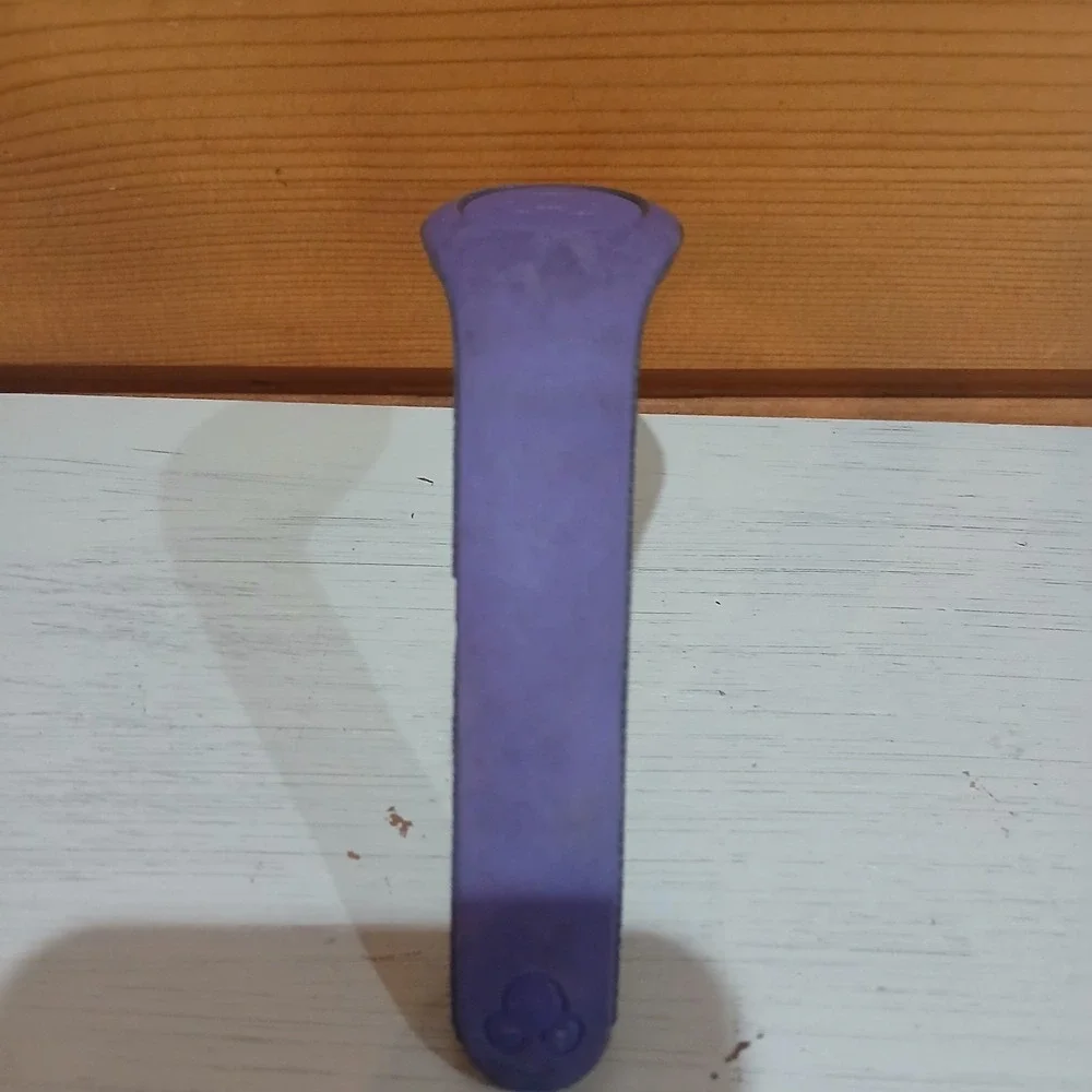 Walt‎ Disney MagicBand 2 Purple Disney World Wristband